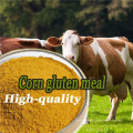 Golden Yellow Corn Gluten Meal 60% proteína